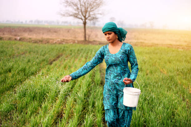 istock Female farmer working in the field 644980256