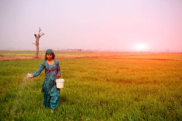 istock Female farmer working in the field 644980258