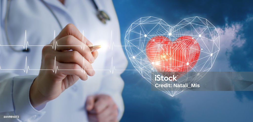 Concepts of modern technologies of diagnostics of the heart. Heart - Internal Organ Stock Photo