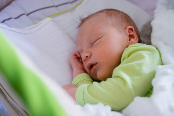 istock Lost in adorable dreams 644984194