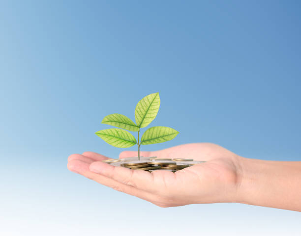 istock plant growing from coins  in hand 644984482