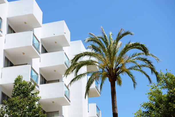 istock The palm tree and building of hotel, Mallorca, Spain 644987972