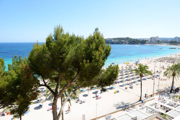 istock The sea view and beach, Mallorca, Spain 644988590