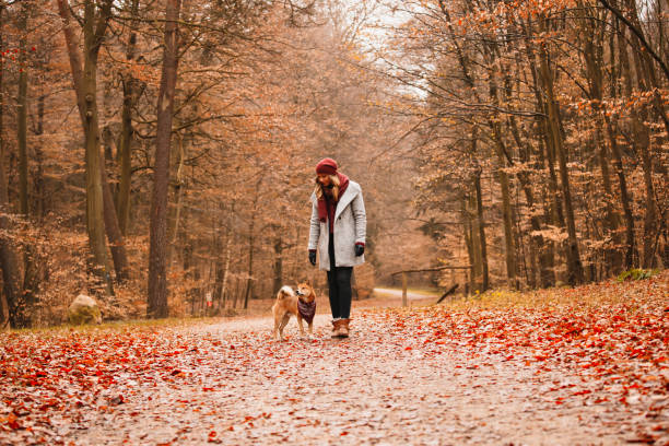 istock Young woman with her dog 644990332