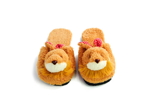 istock Pair of house shoes on a white background 645010874