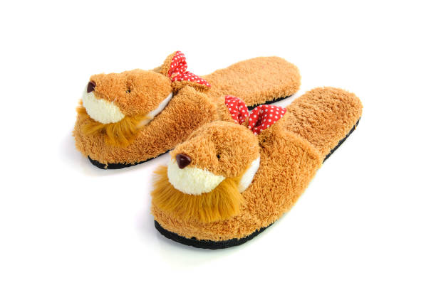 istock Pair of house shoes on a white background 645011382
