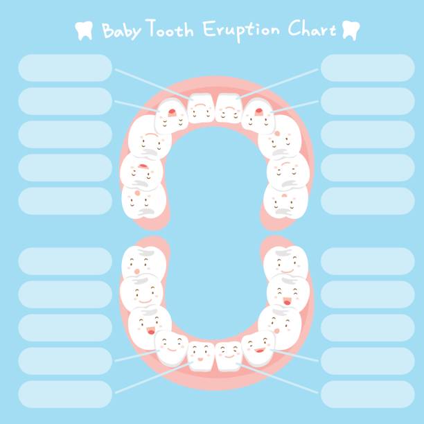 130+ Periodontal Disease Chart Stock Photos, Pictures & Royalty-Free Images - iStock 130-periodontal-disease-chart-stock-photos-pictures-royalty-free-images-istock