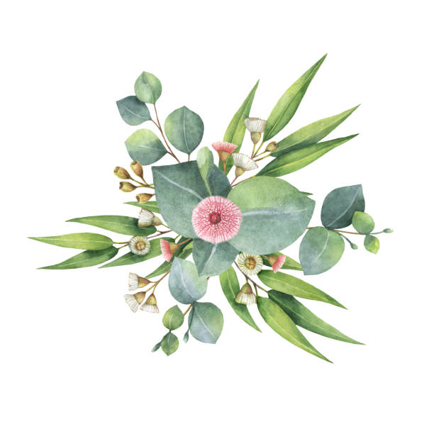 istock Watercolor bouquet with green eucalyptus leaves and branches. 645014374