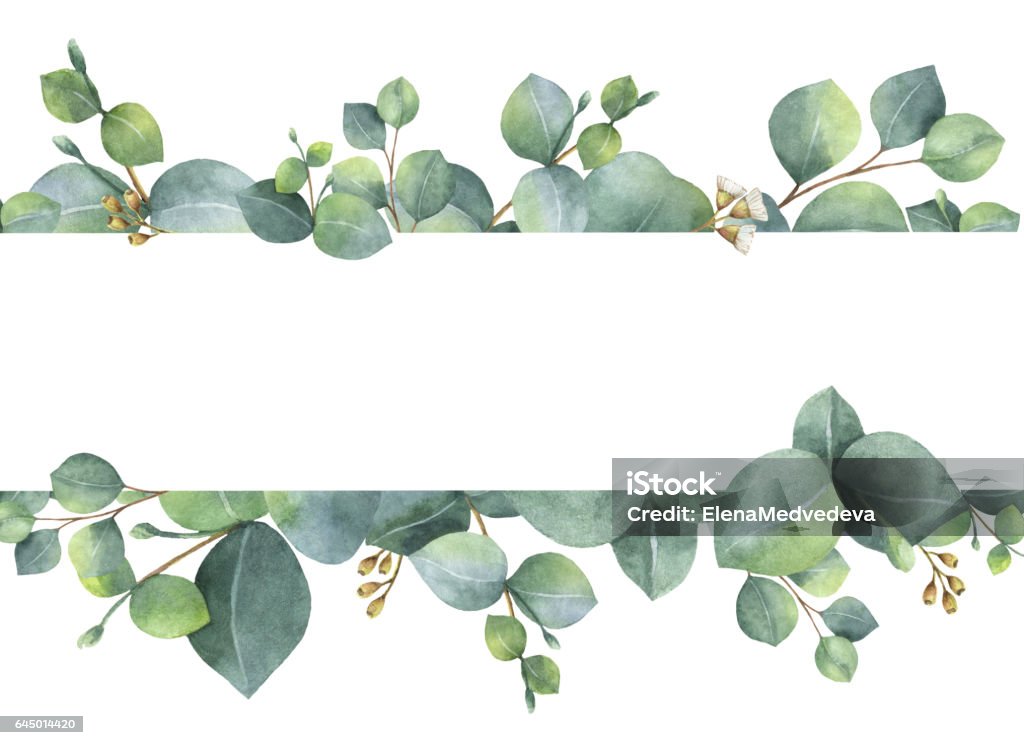 Aquarelle carte floral vert avec silver dollar eucalyptus feuilles et branches isolement sur fond blanc. - Illustration de Eucalyptus libre de droits