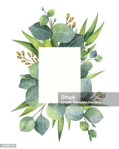 Watercolor Green Floral Card With Eucalyptus Leaves And Branches Isolated On White Background Stock Illustration - Download Image Now