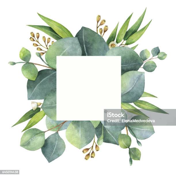 Watercolor Square Wreath With Eucalyptus Leaves And Branches Stock Illustration - Download Image Now