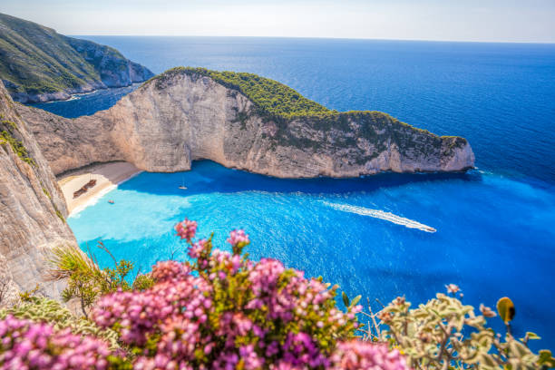 Navagio beach with shipwreck and flowers on Zakynthos island in Greece Navagio beach with shipwreck and flowers on Zakynthos island in Greece zakynthos stock pictures, royalty-free photos & images