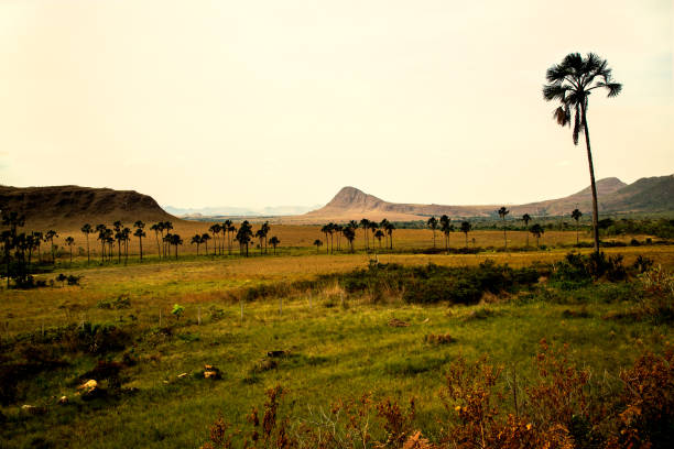 Landscape, Chapada dos Veadeiros, Goias, Brazil
