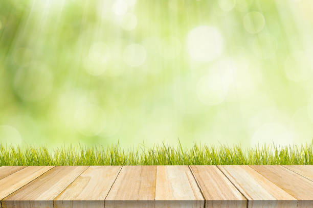 istock Ecology concept.  Spring Time  Nature  View Floor Relax  Morning  concept. 645026432