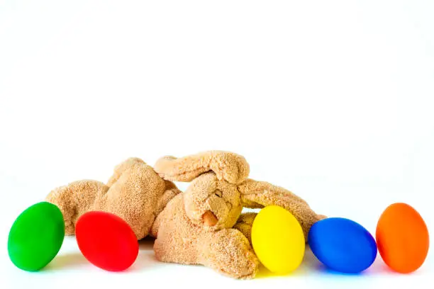 Rabbit with five colorful eggs in front of a white background