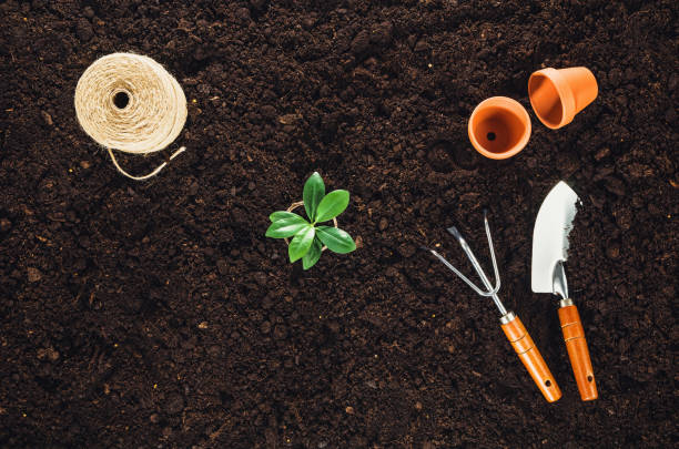 istock Gardening tools on garden soil texture background top view 645033478