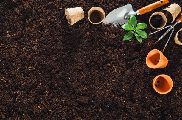 istock Gardening tools on garden soil texture background top view 645034058