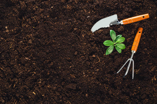 istock Gardening tools on garden soil texture background top view 645034120
