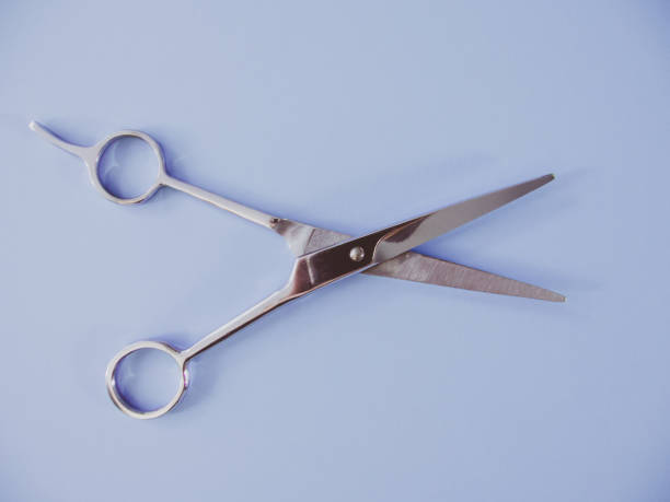 istock Professional haircutting scissors on a colorful pastel background. 645034368