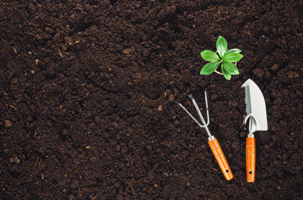 istock Gardening tools on garden soil texture background top view 645035094