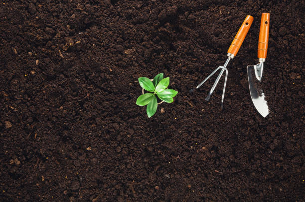 istock Gardening tools on garden soil texture background top view 645037158