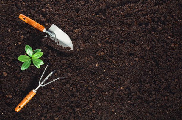 istock Gardening tools on garden soil texture background top view 645037198