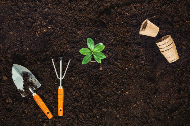 istock Gardening tools on garden soil texture background top view 645037288