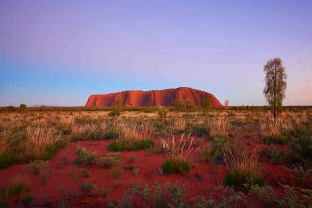 aube approches uluru - uluru australia northern territory sunrise photos et images de collection