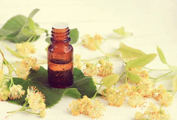 Glass Bottle of extract with drops, fresh yellow  linden tree blossom. Toned.