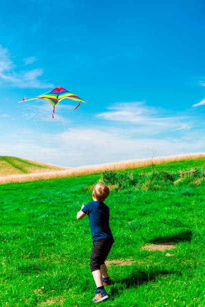 istock Boy plays with kite on field in summertime 645056896