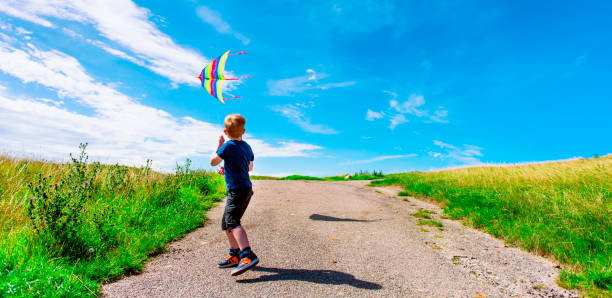 kite flys through the air and boy controls it - grass area field air sky imagens e fotografias de stock