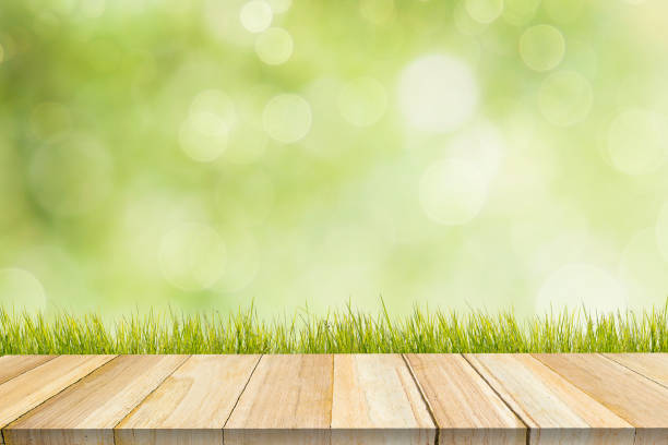 istock Ecology concept.  Spring Time  Nature  View Floor Relax  Morning  concept. 645059758