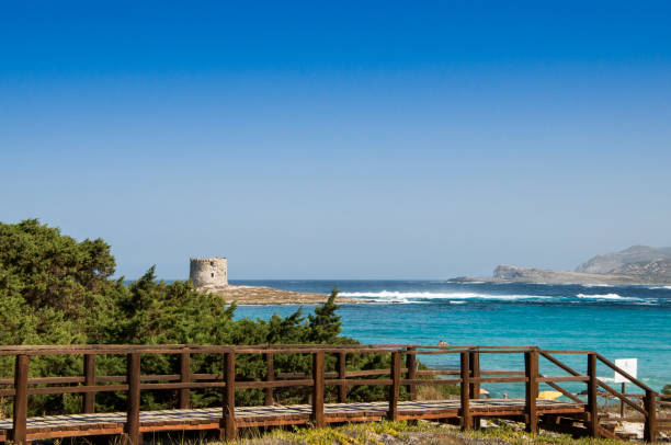 La Pelosa, Stintino, Sardinia, Italy