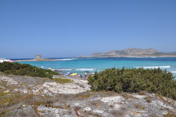istock La Pelosa, Stintino, Sardinia, Italy 645075648