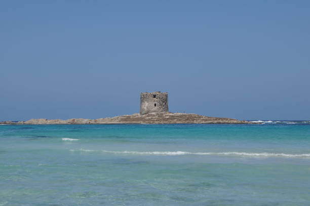 istock La Pelosa, Stintino, Sardinia, Italy 645075656
