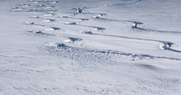 istock Three ski tracks showing turns in fresh powder snow 645092726