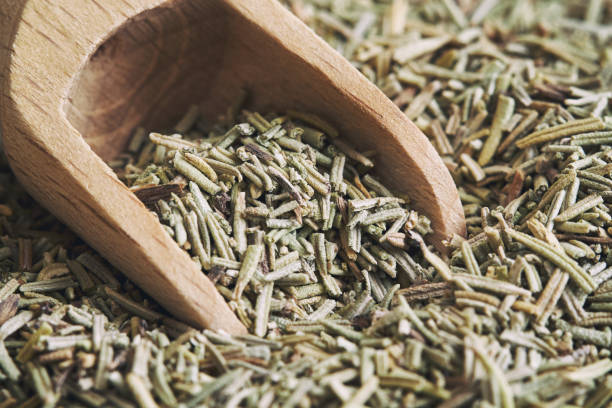 istock Dried rosemary leaves 645098896