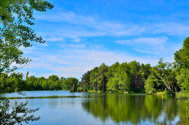 istock Summer landscape near the lake 645099220