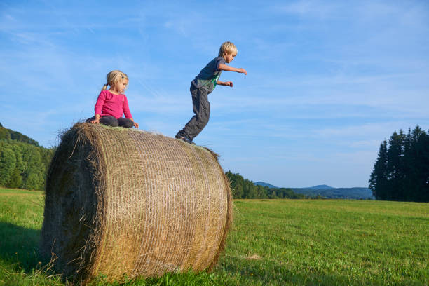 istock Boy with girl playing on hay bale in summer field 645103114