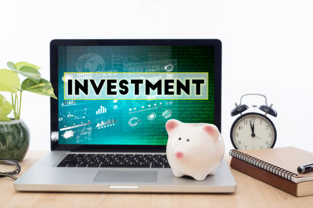 istock Invesment homepage on the computer screen in workplace. 645123886