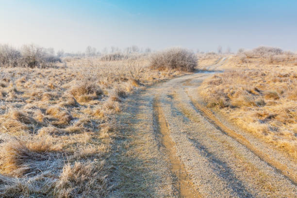Beautiful winter scenery with trees covered by frost, along frozen river