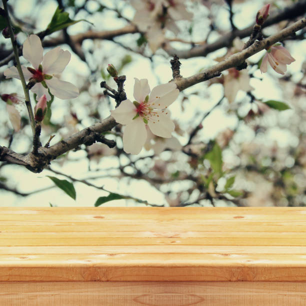 istock wooden table in front of spring cherry tree 645133296