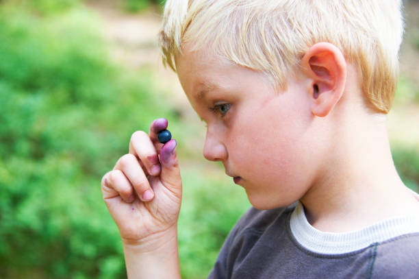 Hands of a child taking a plant from the hands of a man. concept eco earth day