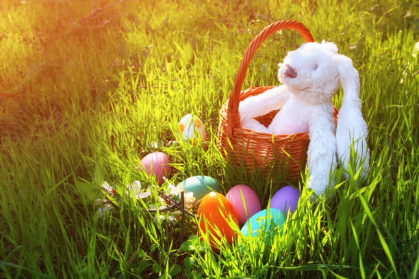 istock White cute bunny in the basket next to easter colorful eggs 645139146