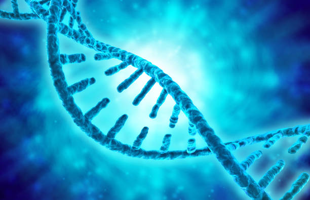 istock 3d illustration of dna helix on blue background 645168008