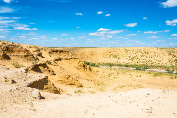 istock Desert landscape on a summer day. 645172718