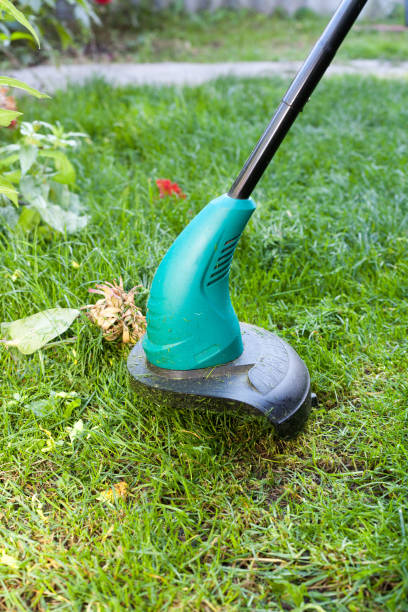 istock Worker mows a lawn mower. Green lawn mowercloseup. 645172738
