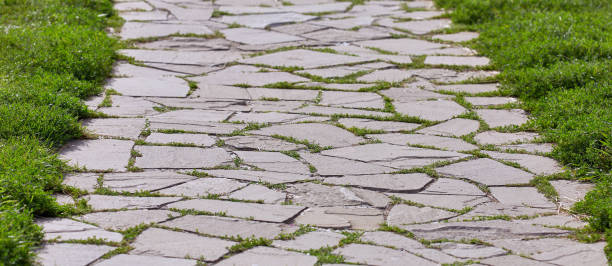 istock Old stone road background with green grass 645173308