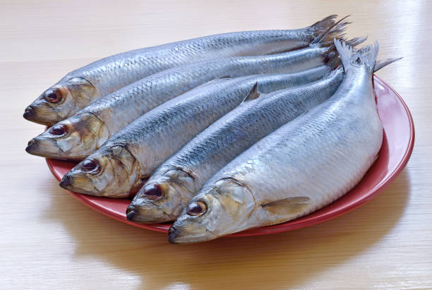 istock five fish of the herring plate 645173674