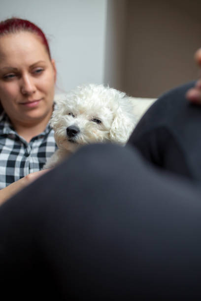 istock Young woman with her dog in a bed. 645173762